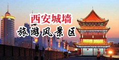 大鸡巴操逼爽歪歪视频中国陕西-西安城墙旅游风景区